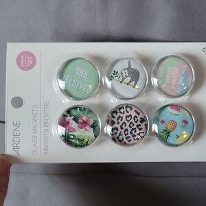 6-Pack of Glass Magnets, New With Tags